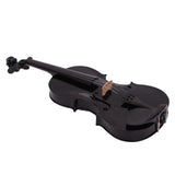 New 4/4 Acoustic Violin Case Bow Rosin C | Black