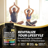 Shilajit Pure Himalayan 9000MG, Ashwagandha 2000MG, Rhodiola Rosea 1000MG, Panax Ginseng 1500MG, Turmeric 500MG, Ginkgo Biloba 500MG, Stinging Nettle 250MG, Cordyceps Mushroom 500MG (60 Caps) | 60 particle